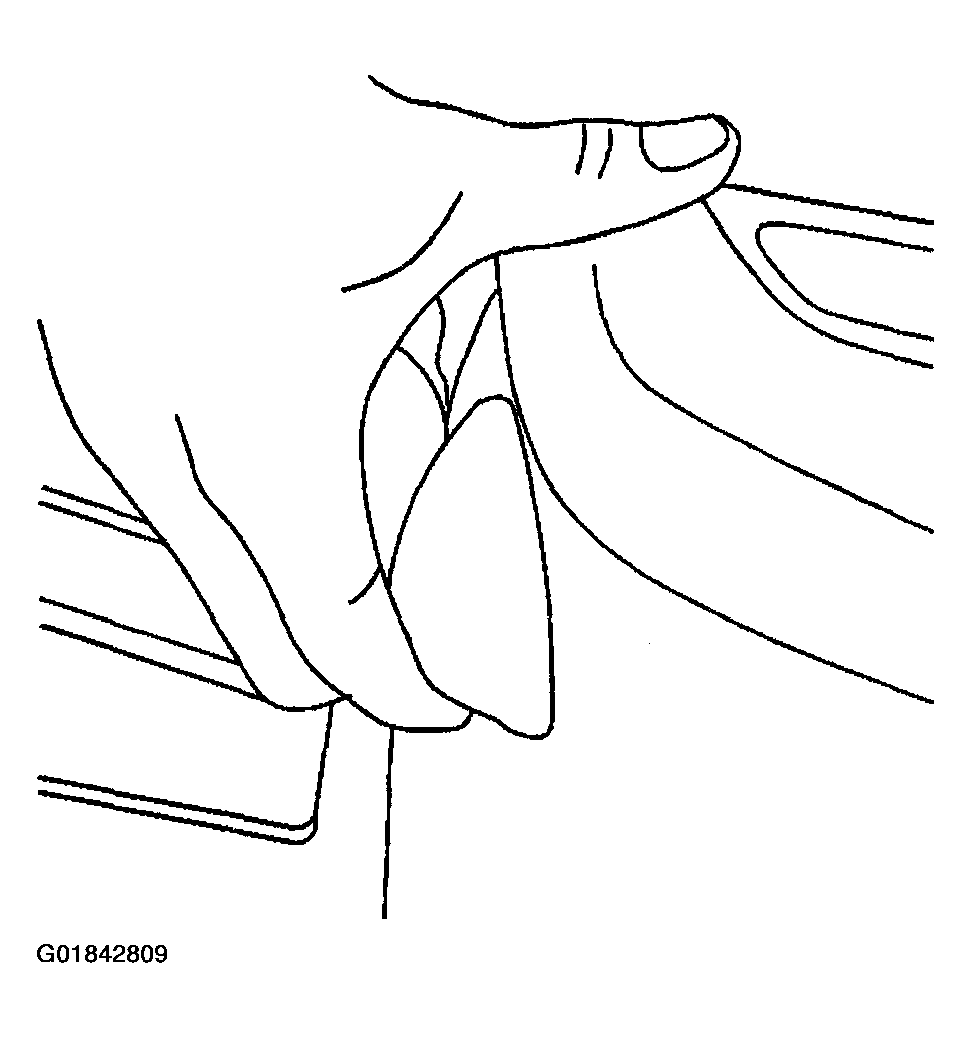 G01842809