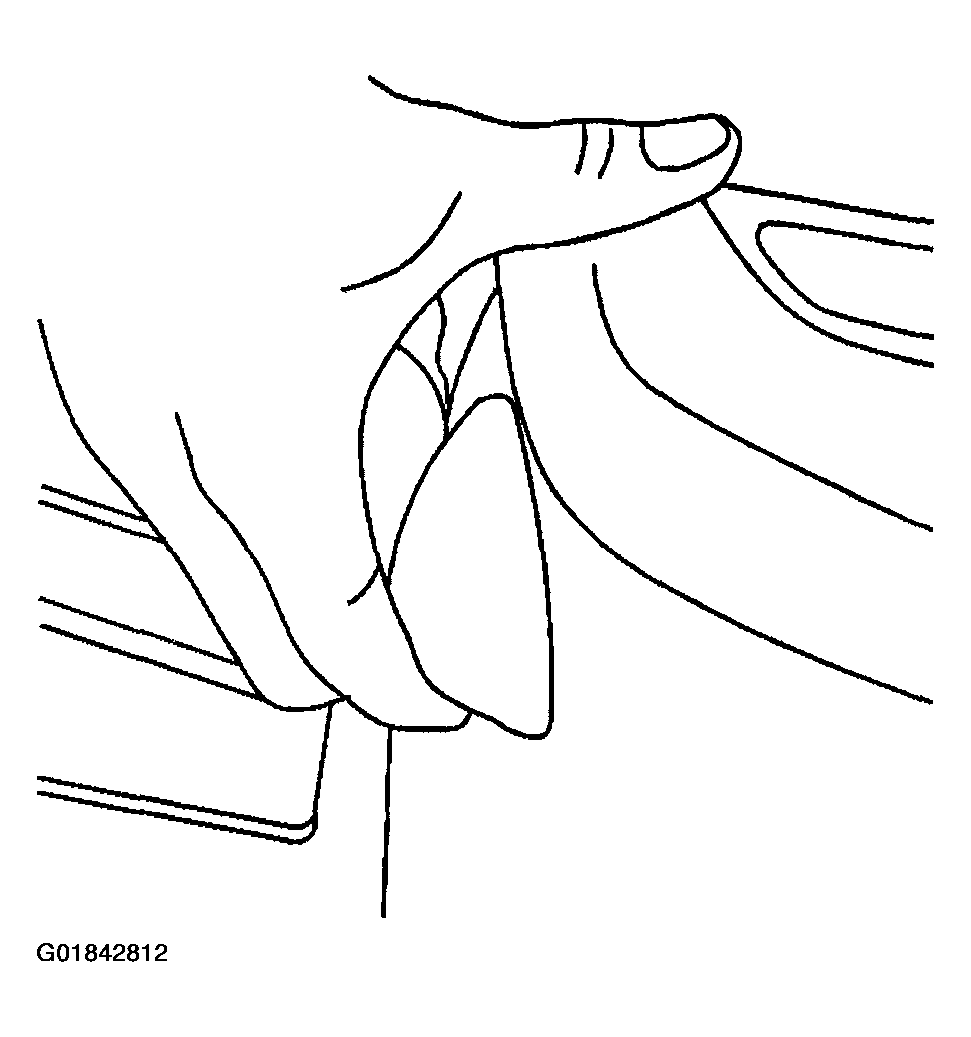 G01842812