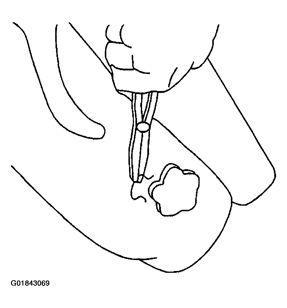 G01843069