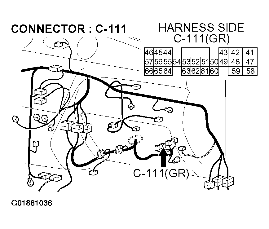 G01861036