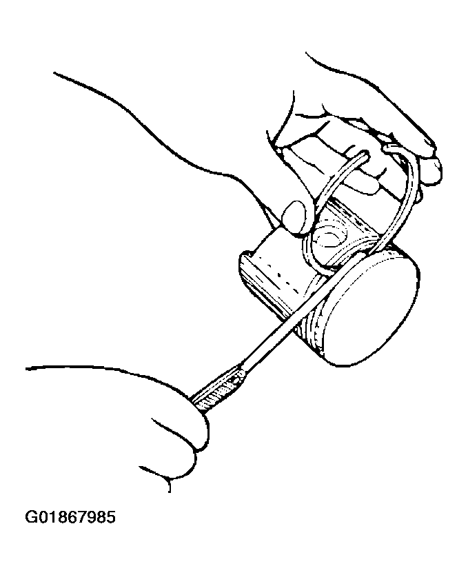 G01867985