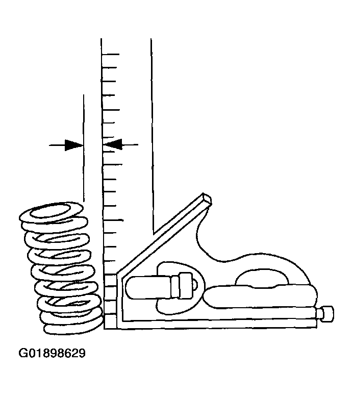 G01898629