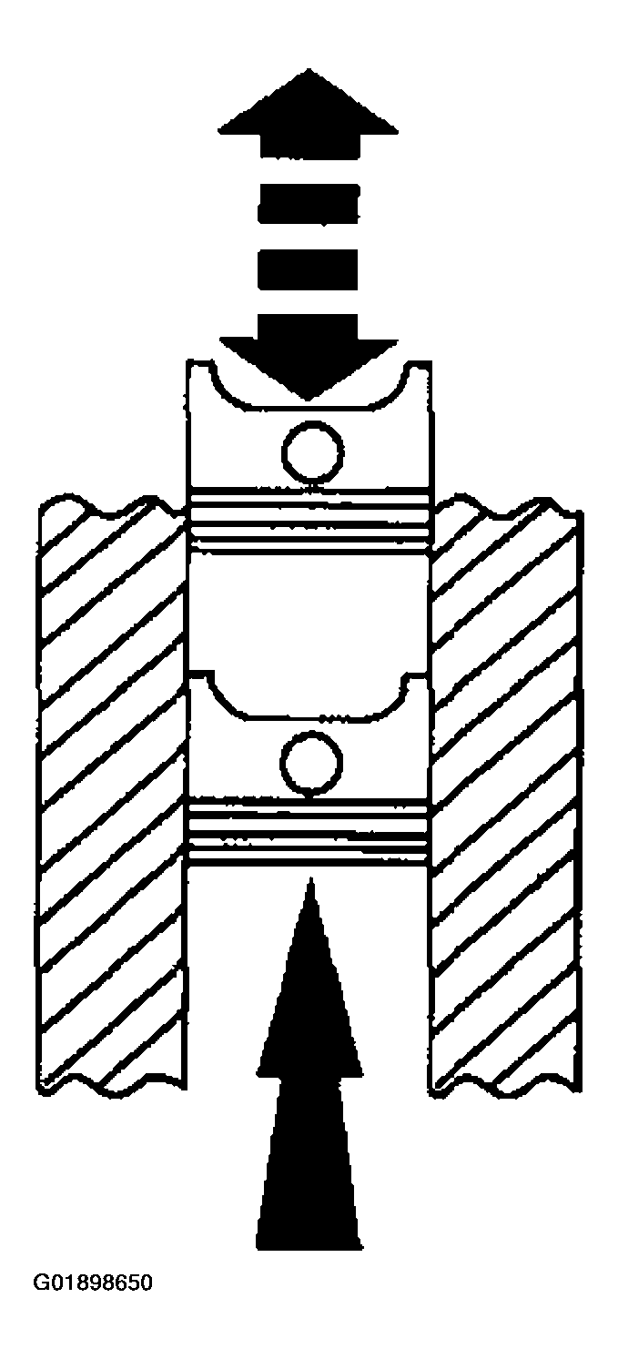 G01898650