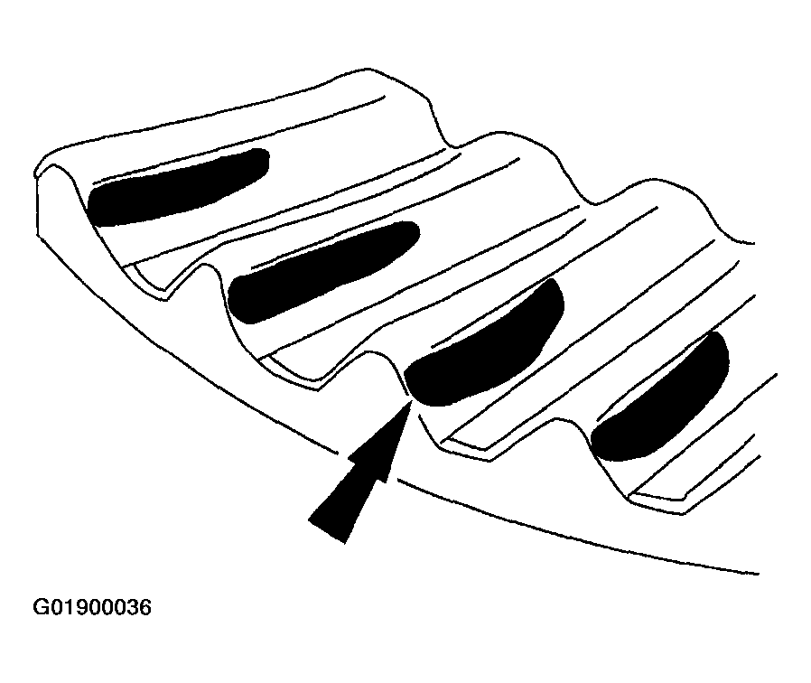 G01900036