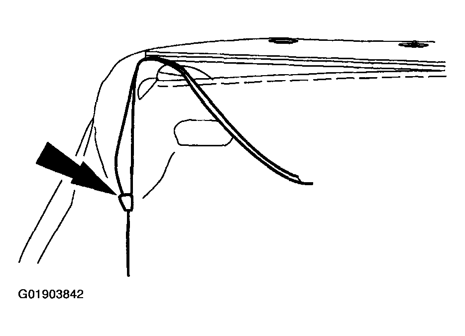 G01903842
