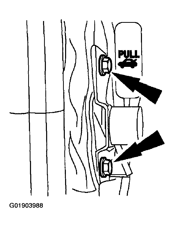 G01903988