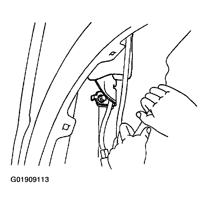 G01909113