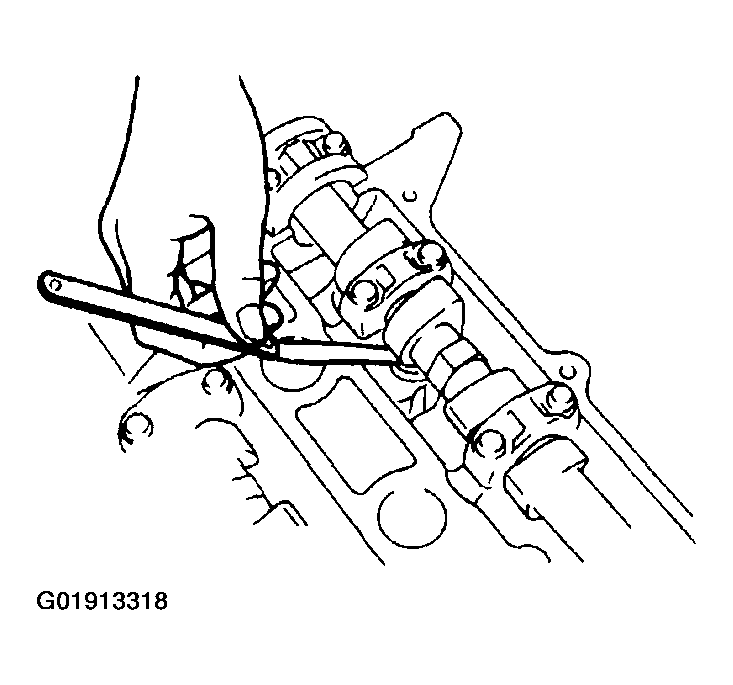 G01913318