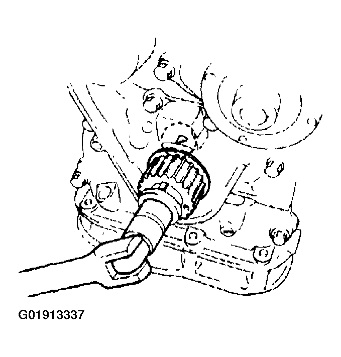 G01913337