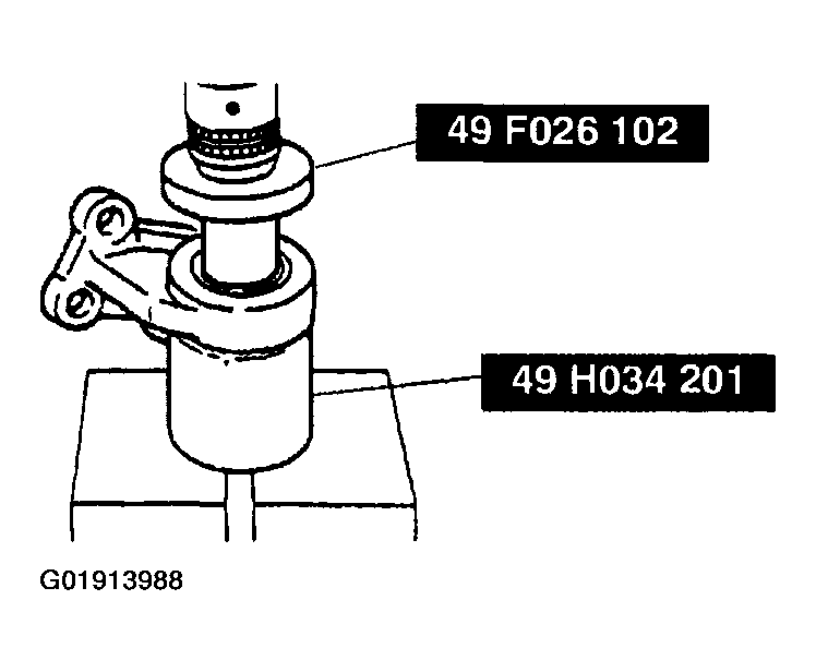 G01913988