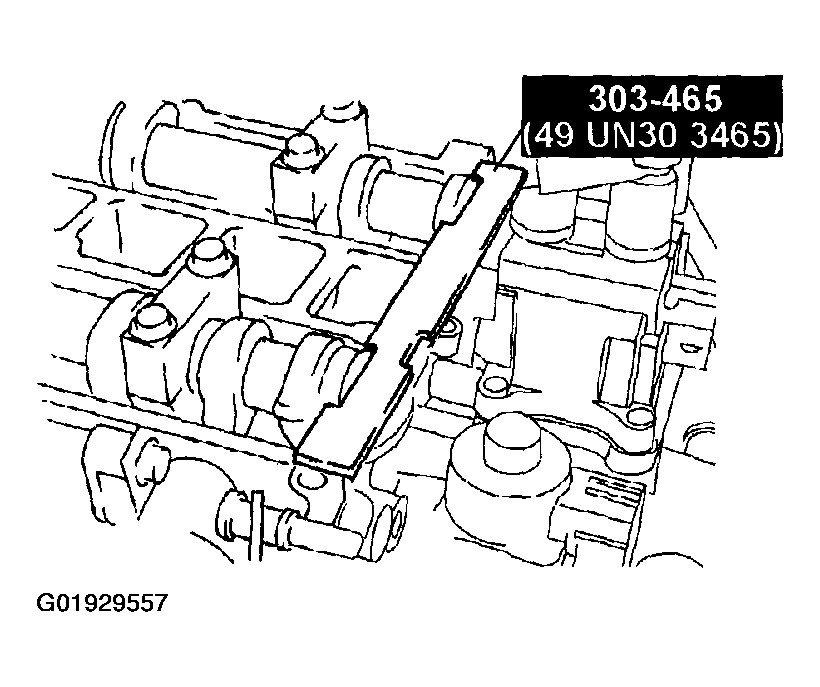 G01929557