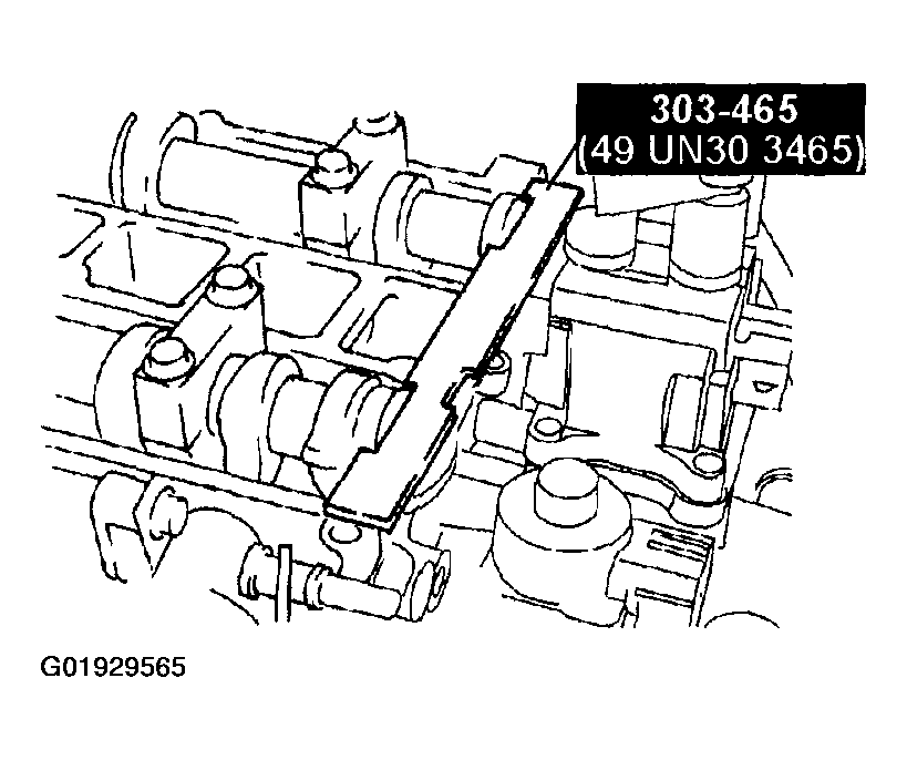 G01929565