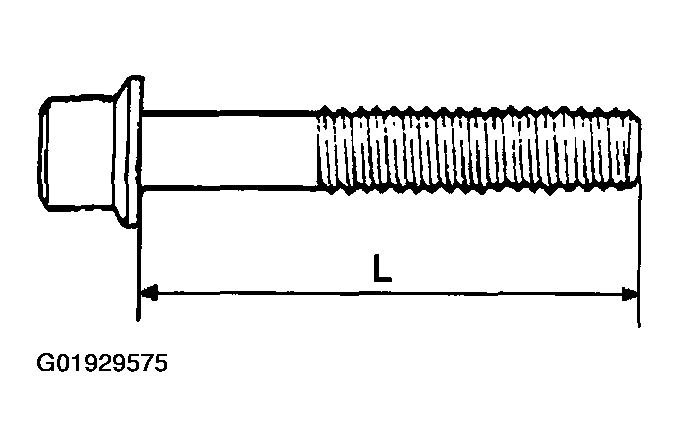 G01929575