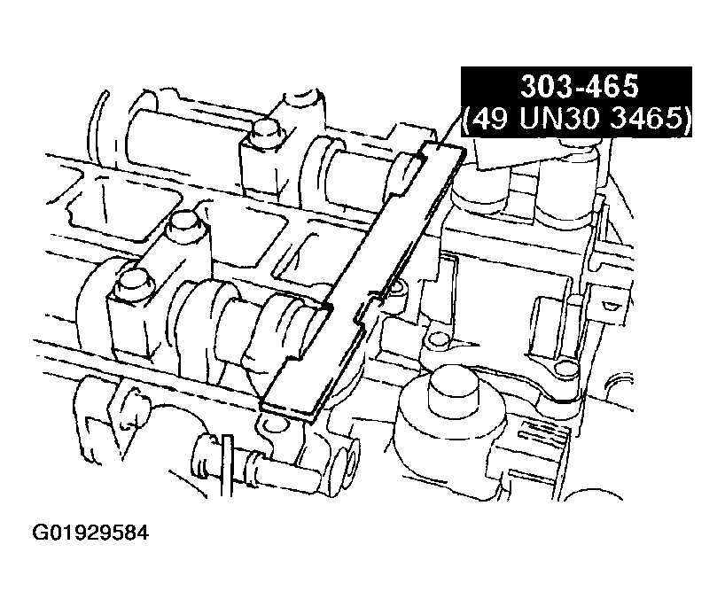 G01929584