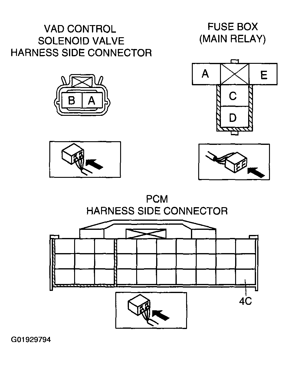 G01929794