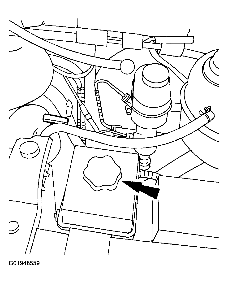 G01948559