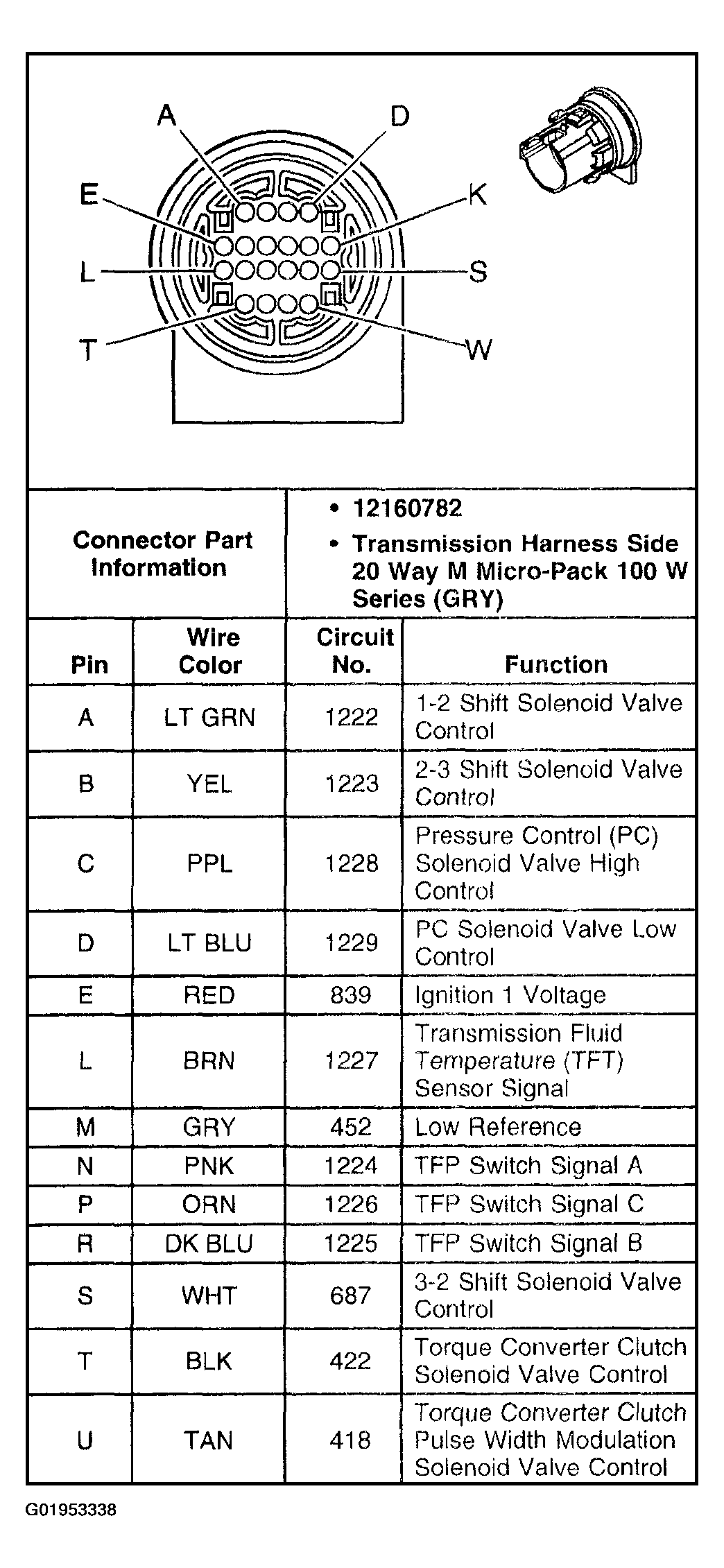 G01953338