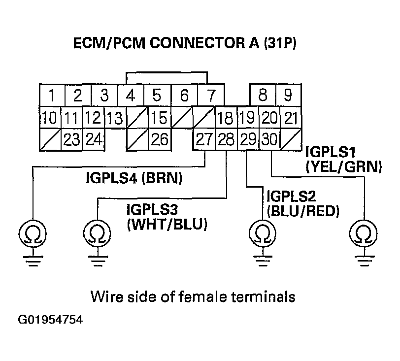 G01954754