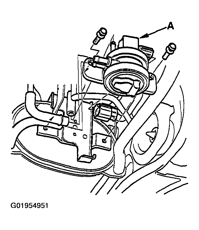 G01954951
