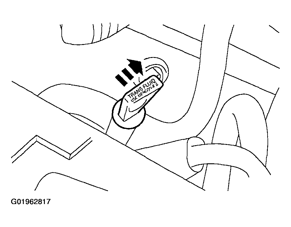 G01962817