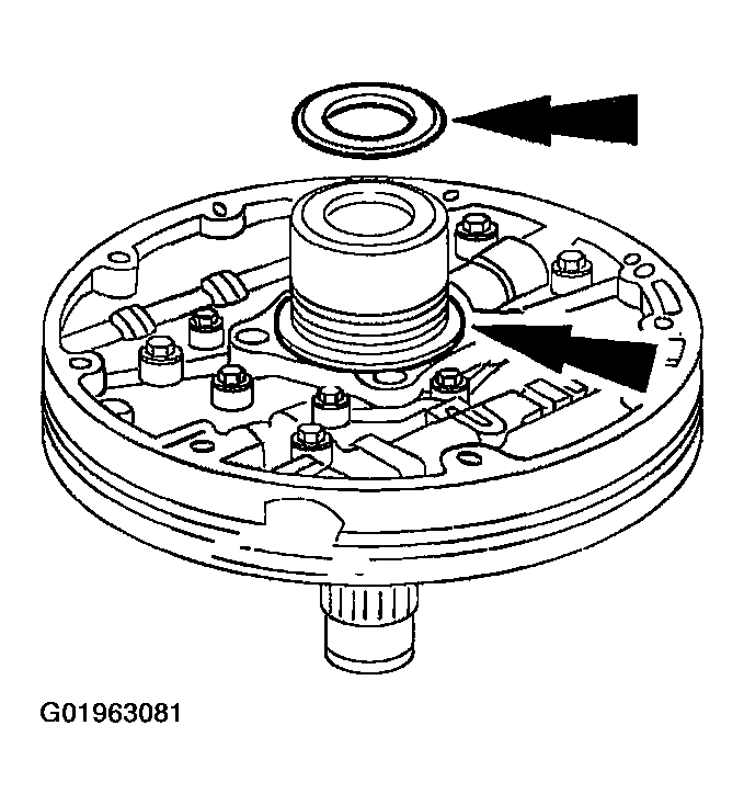 G01963081