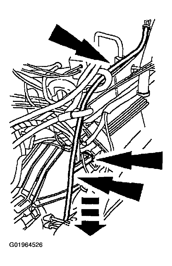 G01964526