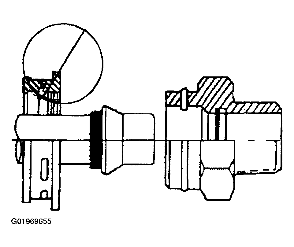 G01969655
