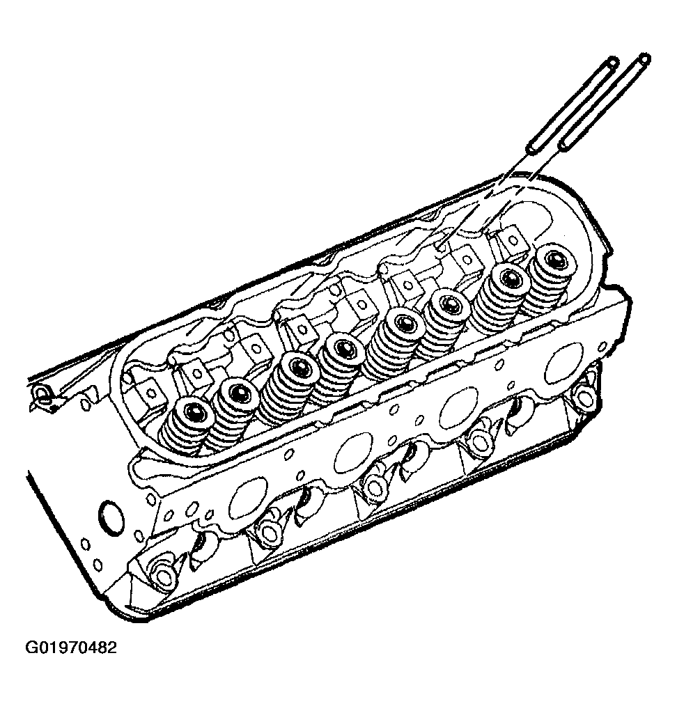 G01970482