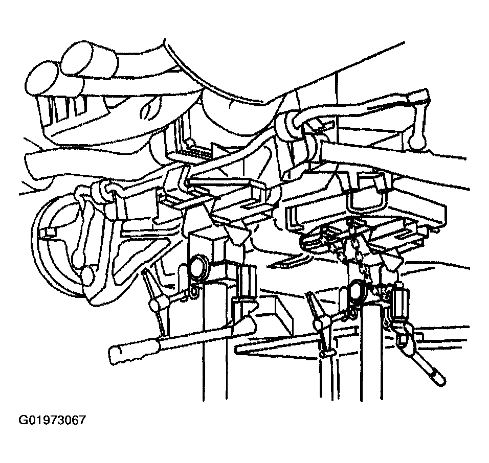 G01973067