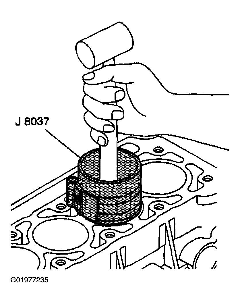 G01977235