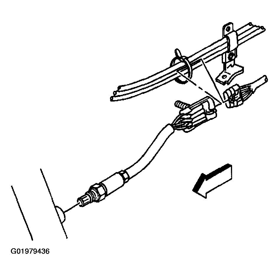 G01979436