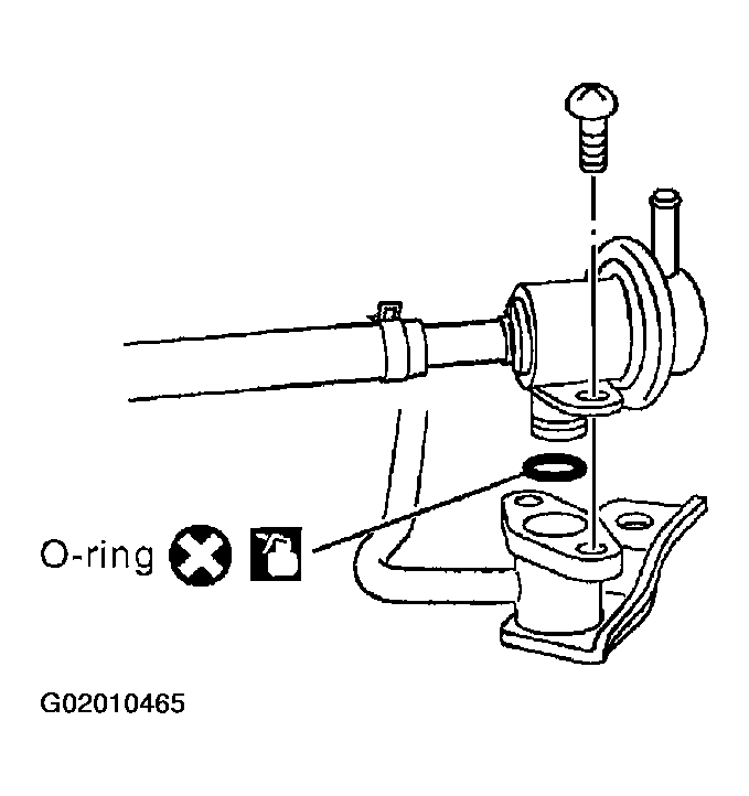 G02010465