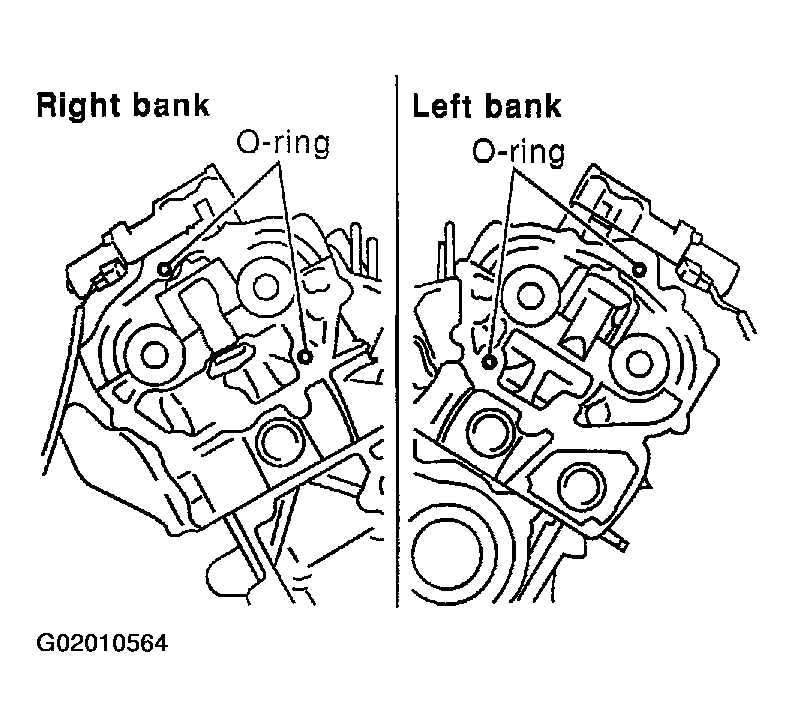 G02010564