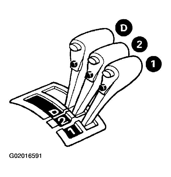 G02016591