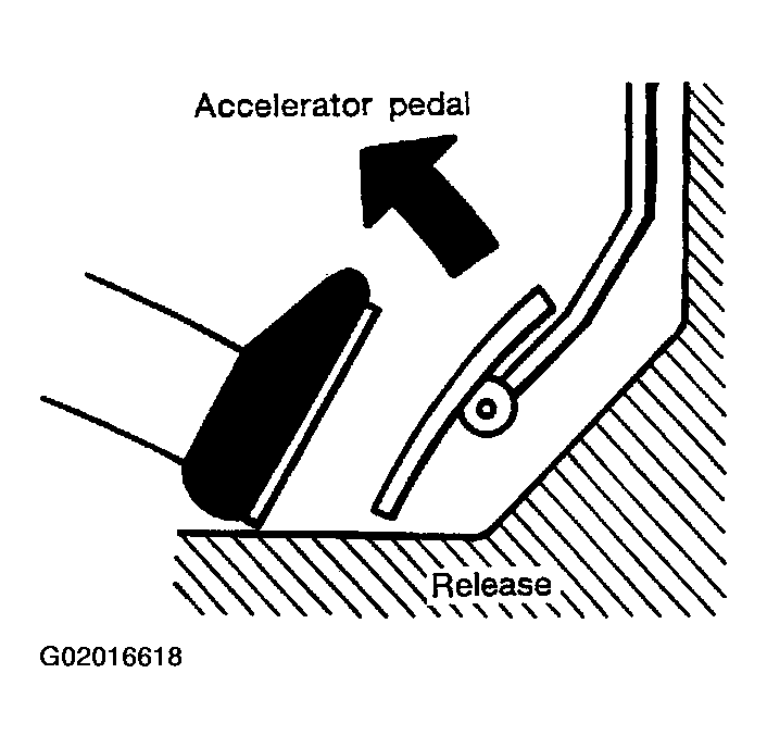 G02016618