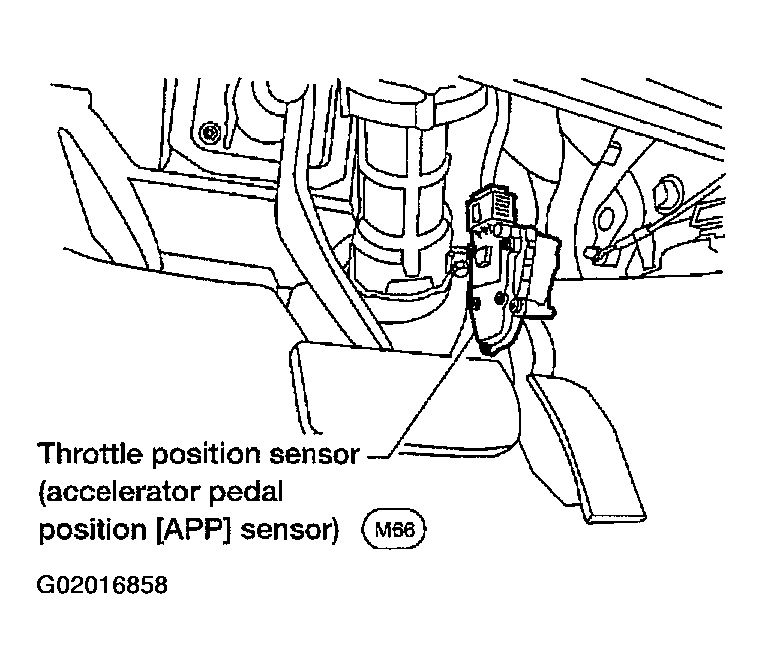 G02016858