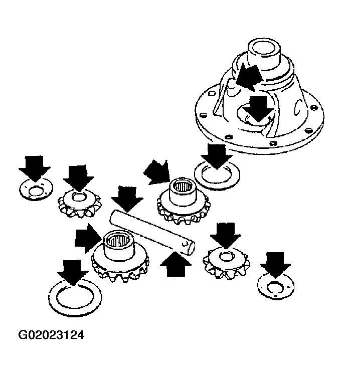 G02023124