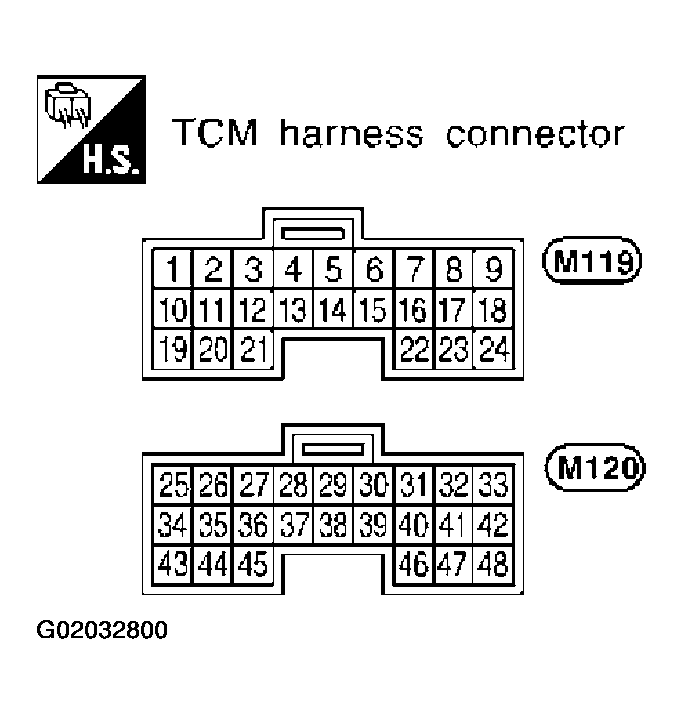 G02032800
