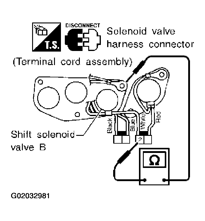 G02032981