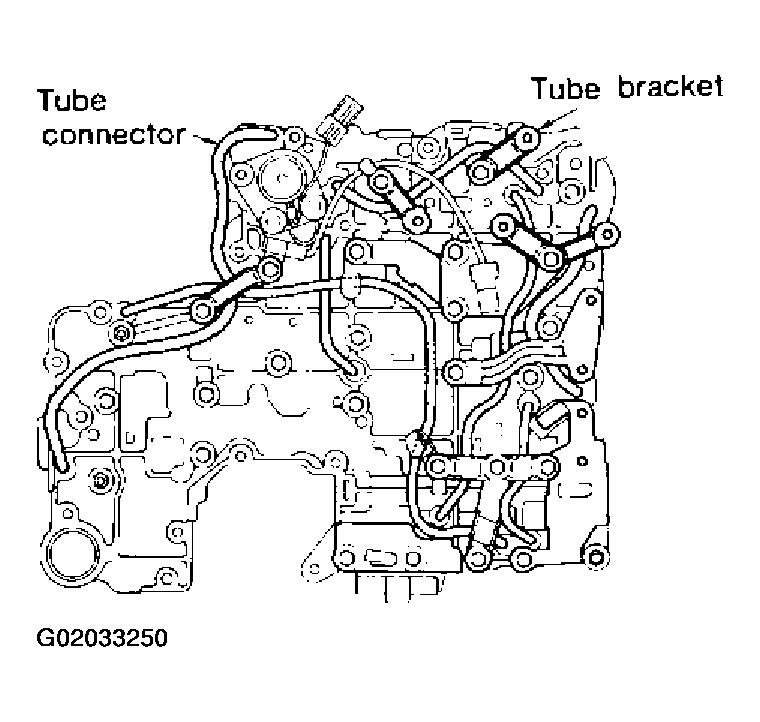 G02033250