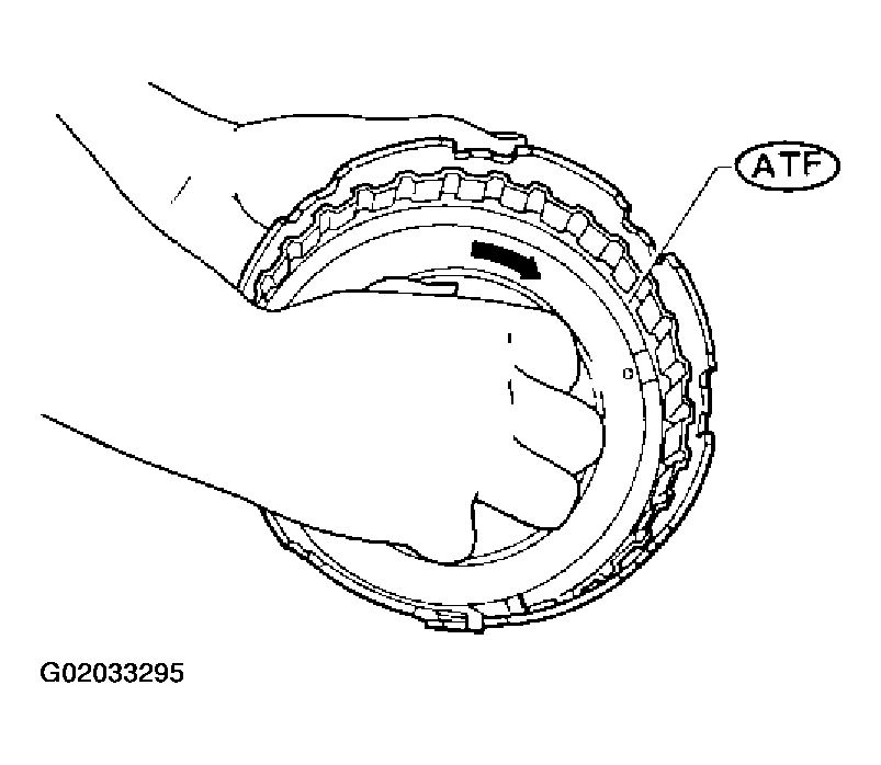 G02033295