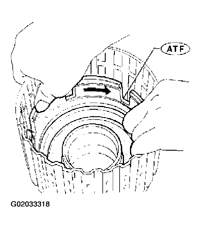 G02033318