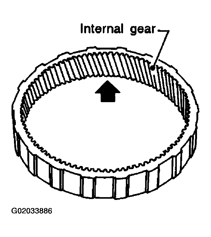 G02033886