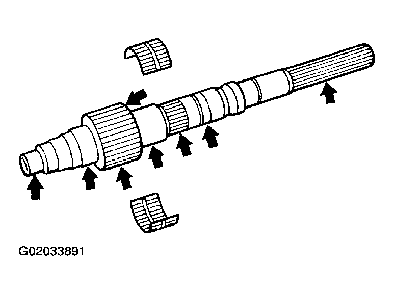 G02033891