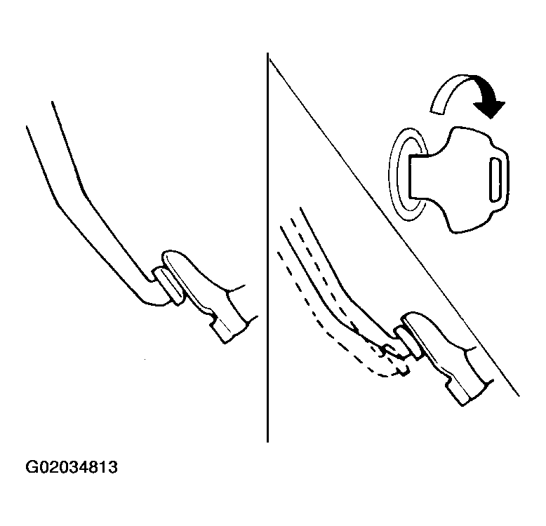 G02034813