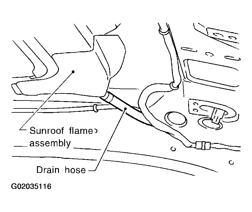 G02035116