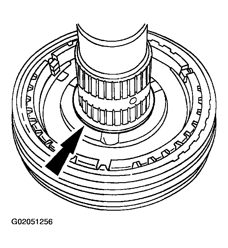 G02051256