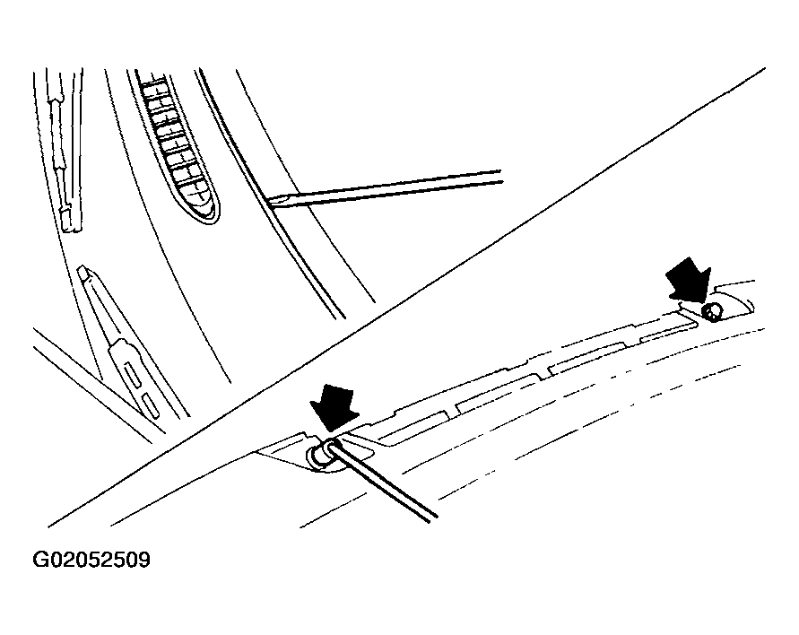 G02052509