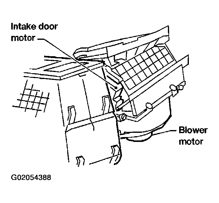 G02054388