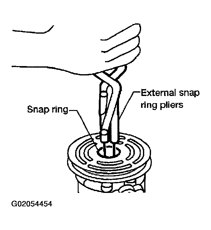 G02054454